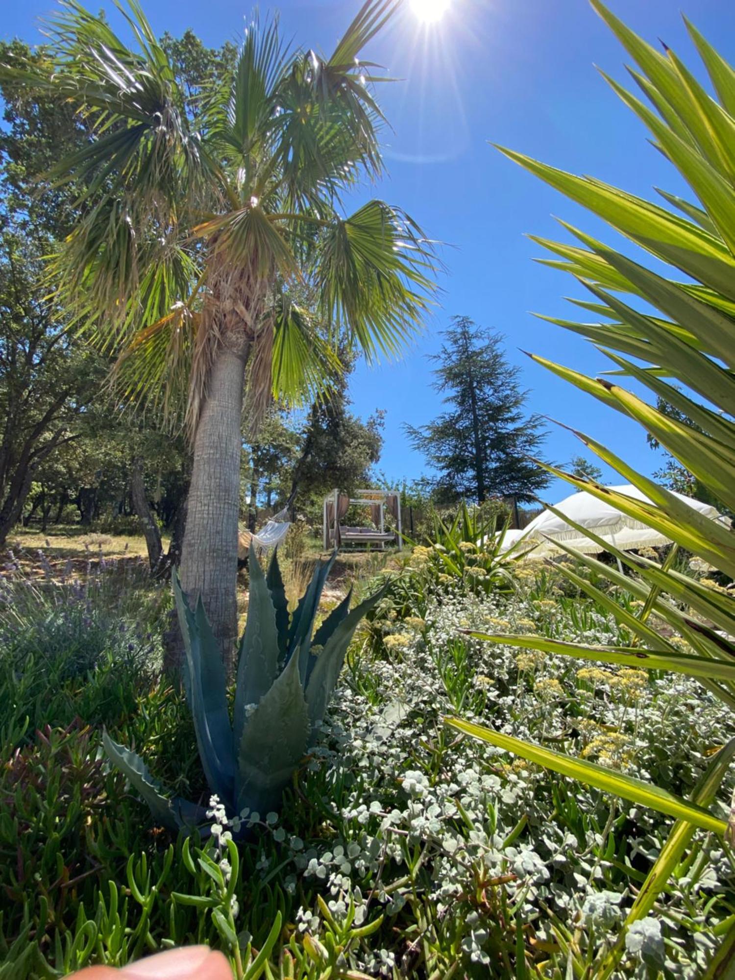 Villa Alba En Provence Besse-sur-Issole Dış mekan fotoğraf