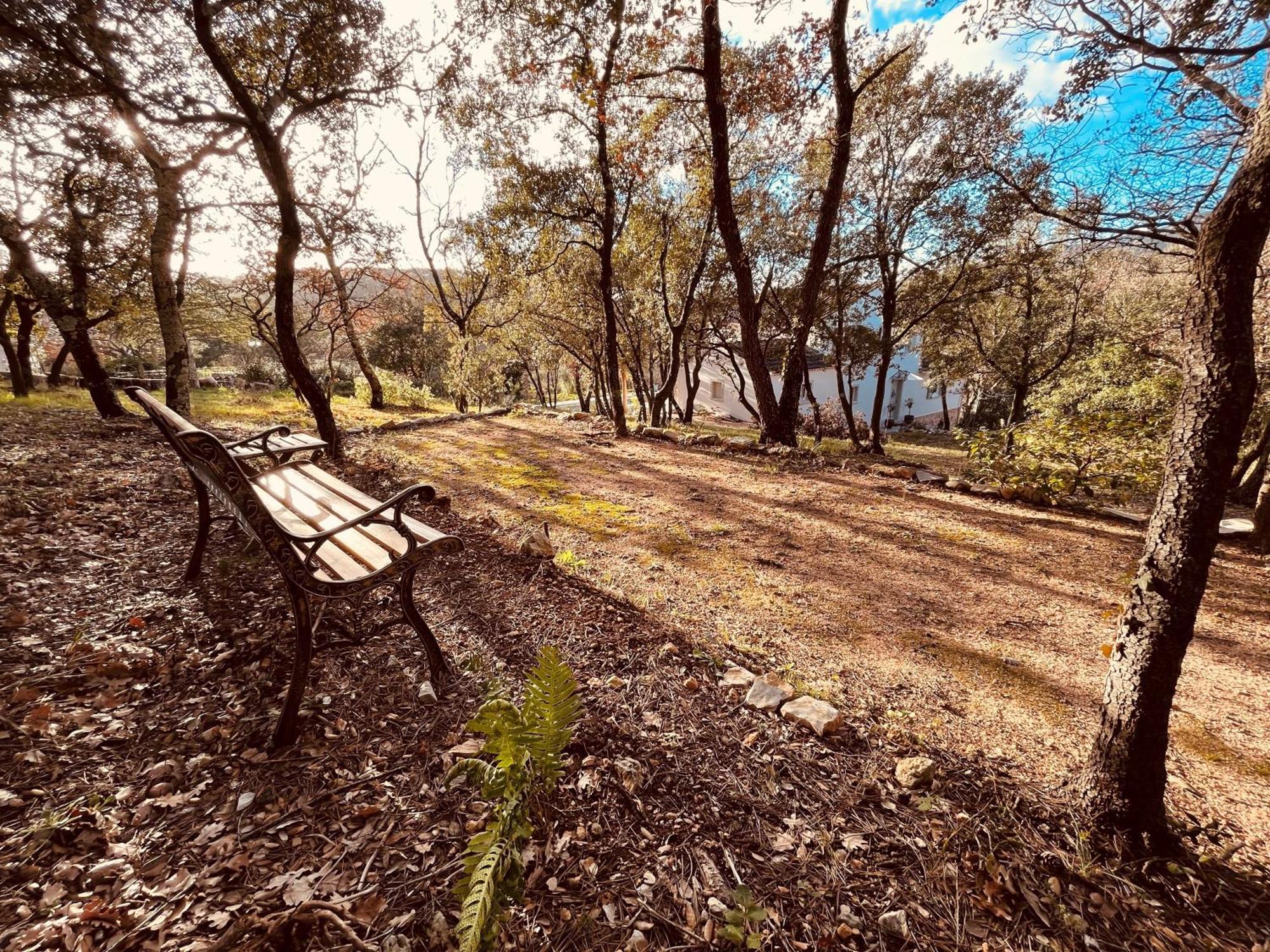Villa Alba En Provence Besse-sur-Issole Dış mekan fotoğraf